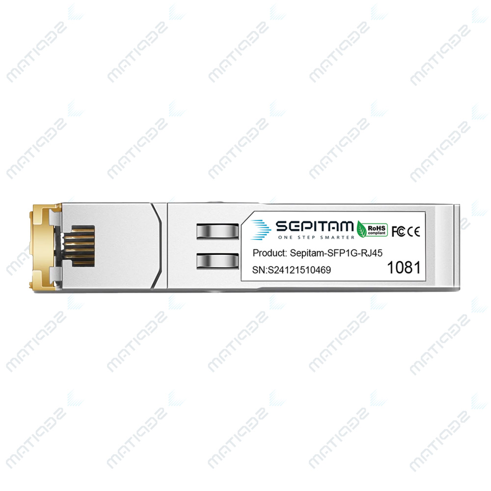 Sepitam-SFP1G-RJ45-100